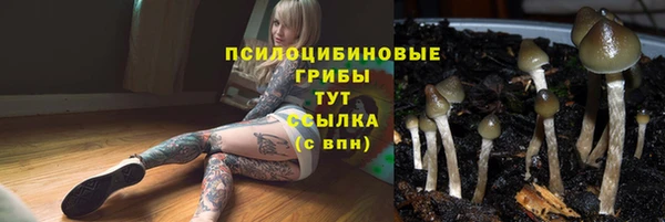 соль ск Алексеевка