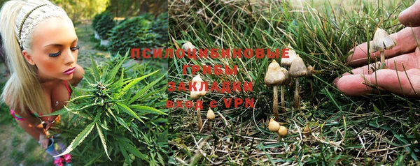 СК Алзамай